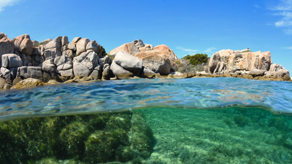 Plongée aux Îles Lavezzi