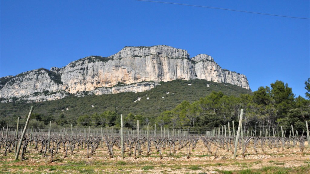 Vignes et garrigues